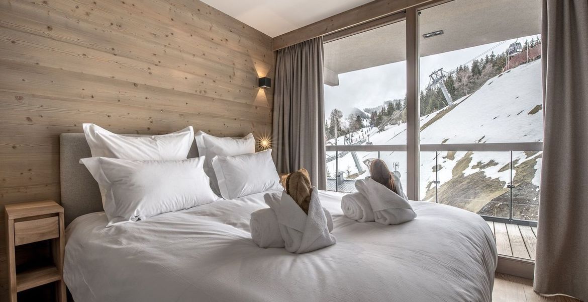 A luxury 9 persons ski-in ski-out apartment for rental