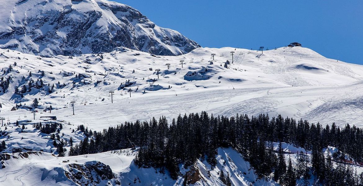 Chalet à Courchevel 1850