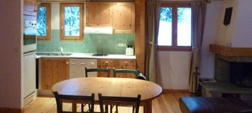 Two bedroom Apartment in Courchevel 1300