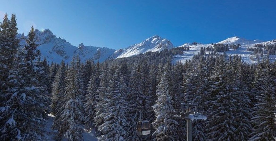 Suite au Jardin Alpin Courchevel 1850 à louer avec un hammam