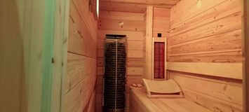 130 m² flat for 8 people with sauna and jacuzzi, La Tania