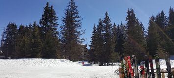 Appartement, à Jardin Alpin, Courchevel 1850