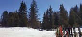 Apartment, in Jardin Alpin, Courchevel 1850