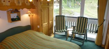 SOUTH FACING 3 ROOMS SKI-IN SKI-OUT WITH BALCONY AND VIEW ON