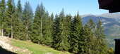 Apartment, in Courchevel 1550 Village - 2 room