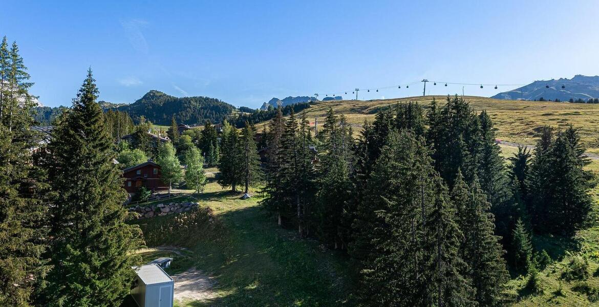 Este apartamento en alquiler está ubicado en Belvedere