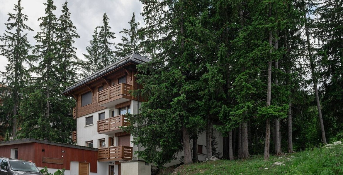 Mountain decoration and beautiful view from the living room 