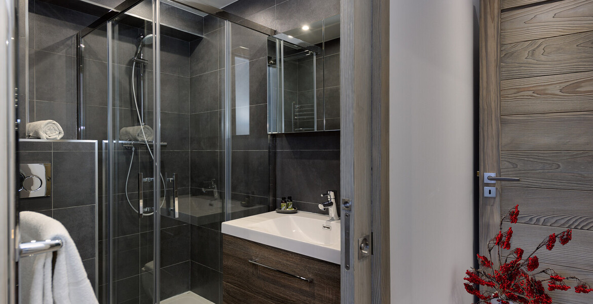 Luxury Apartment in Courchevel 1850