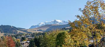 64 sqm 2 bedroom apartment in Rochebrune, Megeve for rent