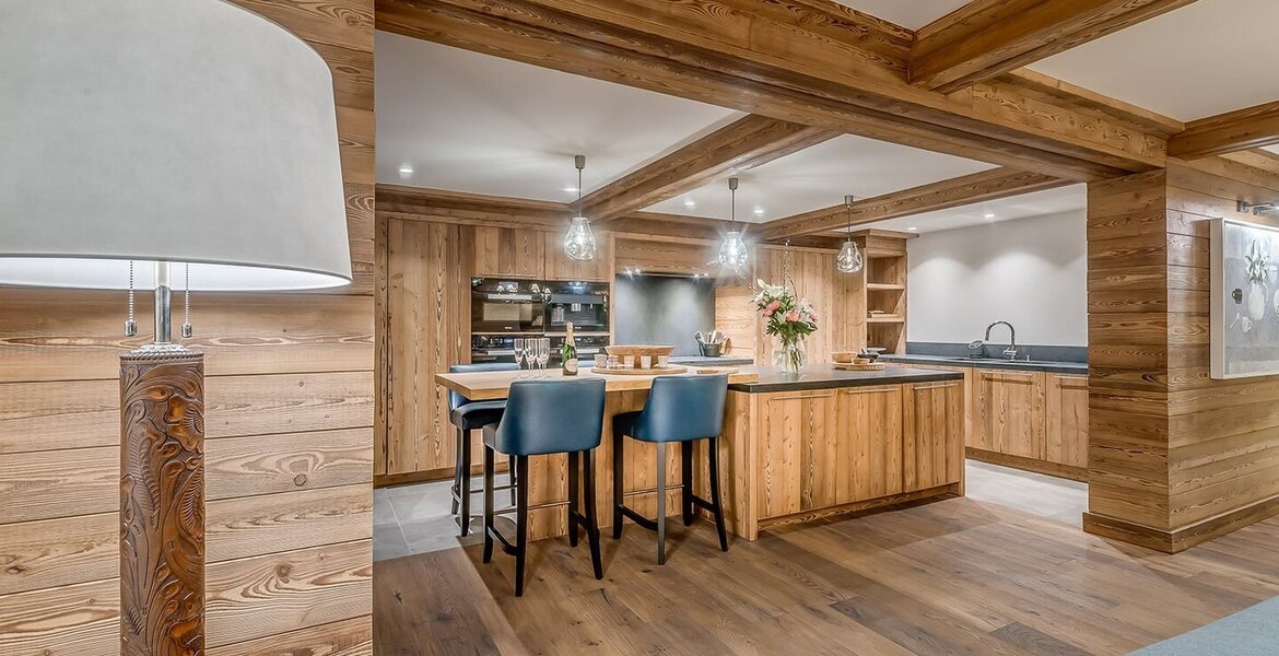 Luxury Ski-in/Ski-out Rental Apartment in Méribel