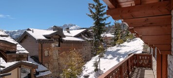 Beautiful flat in a small chalet very well in Courchevel