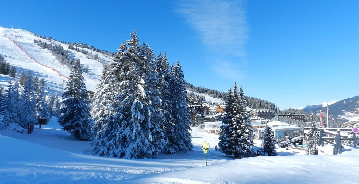 Lovely cosy mountain style apartment ski in ski out