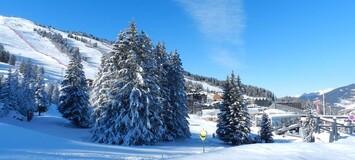 Charmant appartement de style montagnard, ski aux pieds