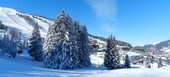 Charmant appartement de style montagnard, ski aux pieds