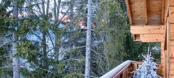 Rental Chalet in La Tania