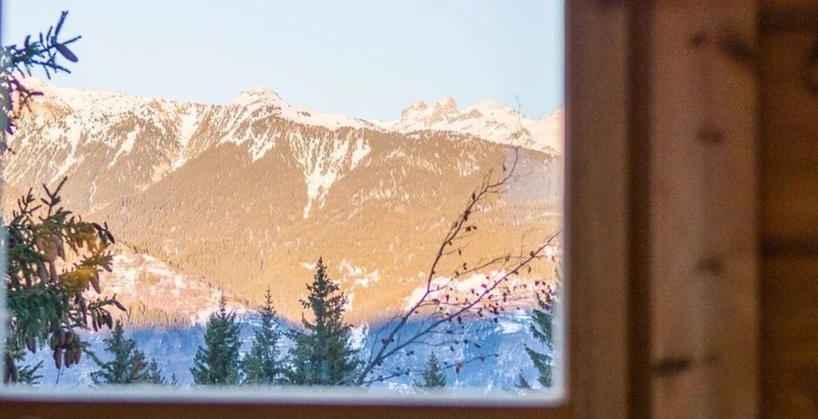Rental Chalet in La Tania