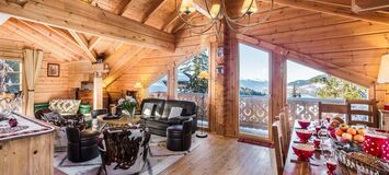 Rental Chalet in La Tania