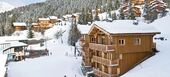 Rental Chalet in La Tania