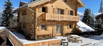 Chalet for rental in La Tania