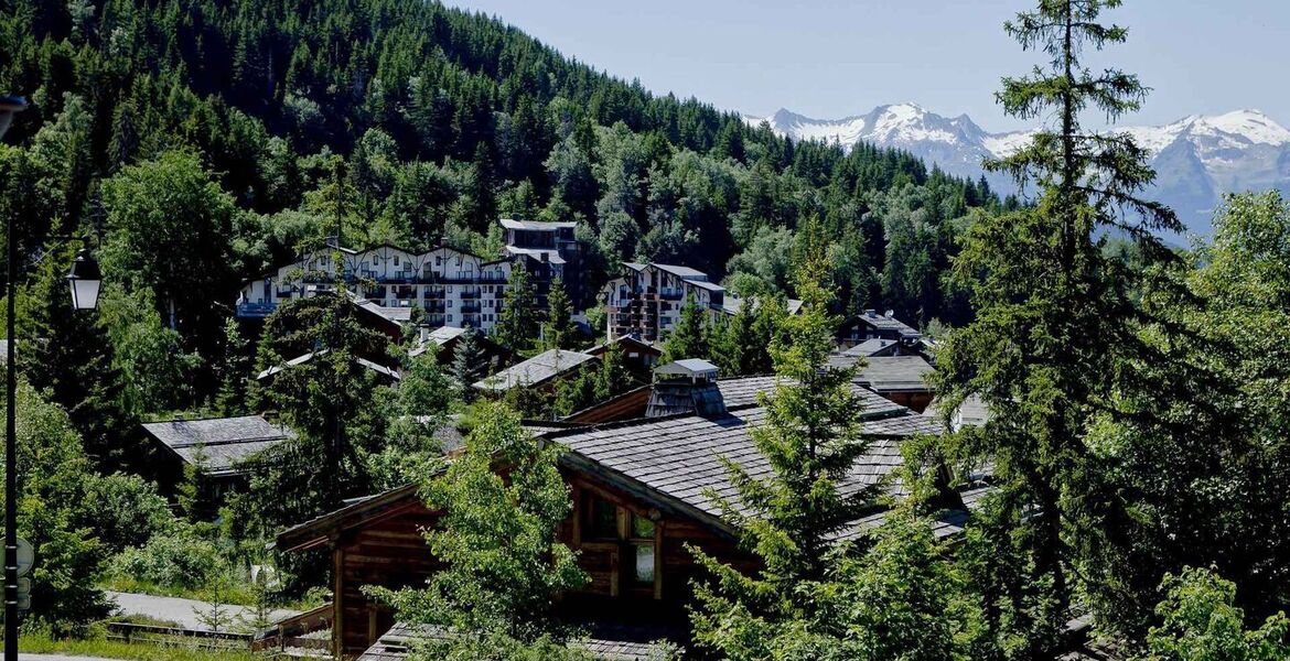 Petit chalet à louer à La Tania de 55 m2 et 2 chambres 