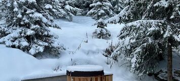 Chalet à louer à courchevel 1850