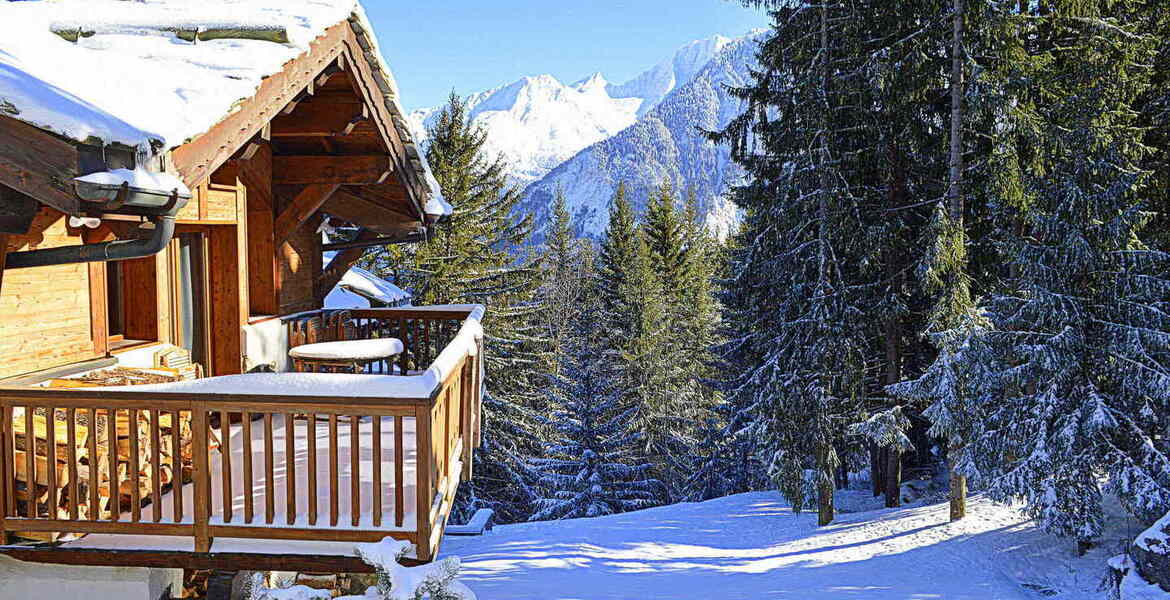 Entre pistes de ski et sapins, dans le quartier des Brigues