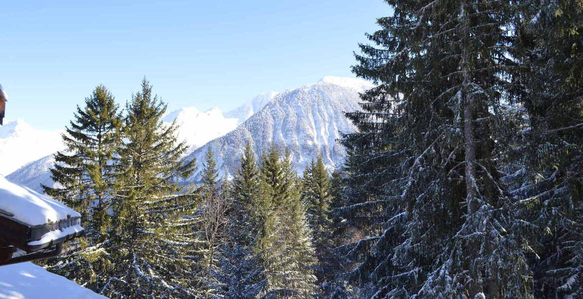 Between ski slopes and fir trees, in the Brigues district