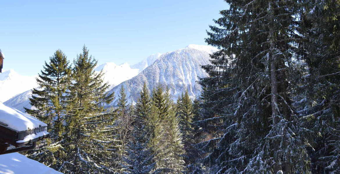 Entre pistes de ski et sapins, dans le quartier des Brigues