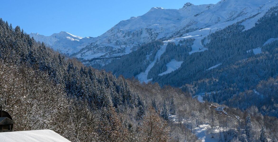 Chalet for rent in Meribel