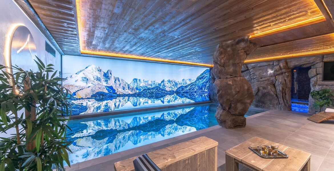 Chalet for rent in Meribel