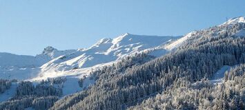 Chalet à louer à Méribel