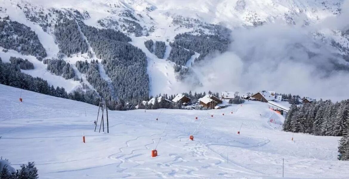 Chalet à louer à Méribel