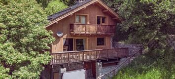 Chalet for rent in Meribel