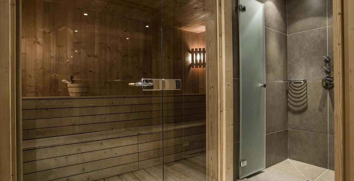 Ski-In/Ski-Out Chalet for Rent in Méribel