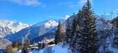 Skis at your feet - Courchevel Village - 8/10 - 3* apartment