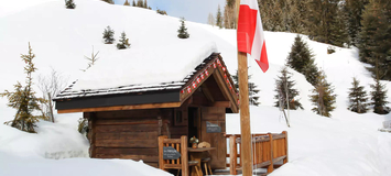 Chalet Méribel, Alpes françaises, France 14 personnes - 6 ch