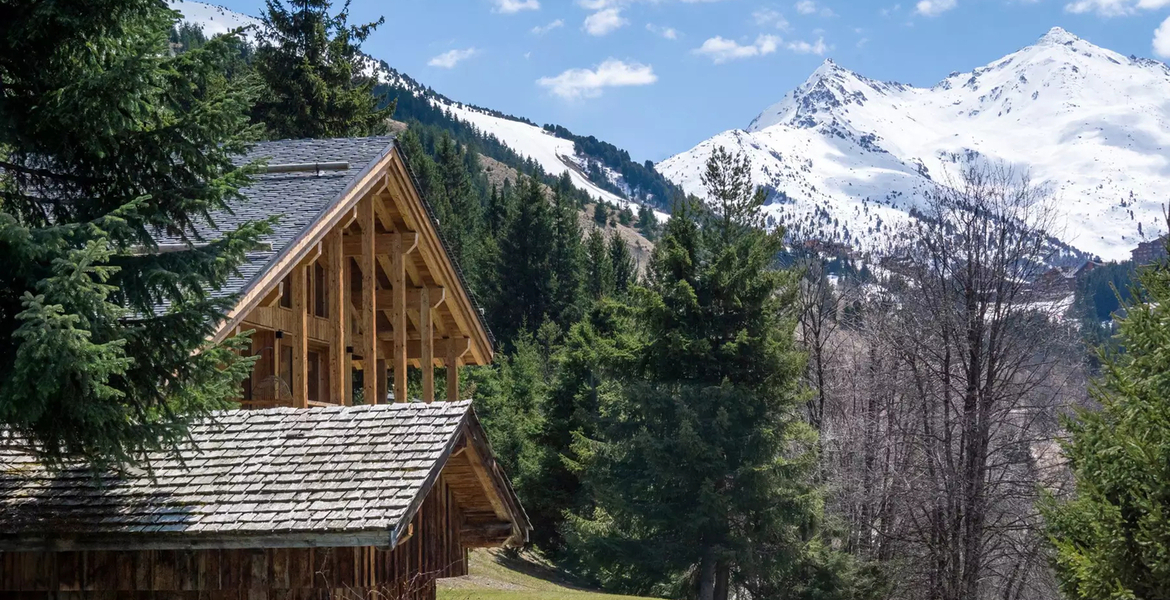 Chalet in Méribel, French Alps