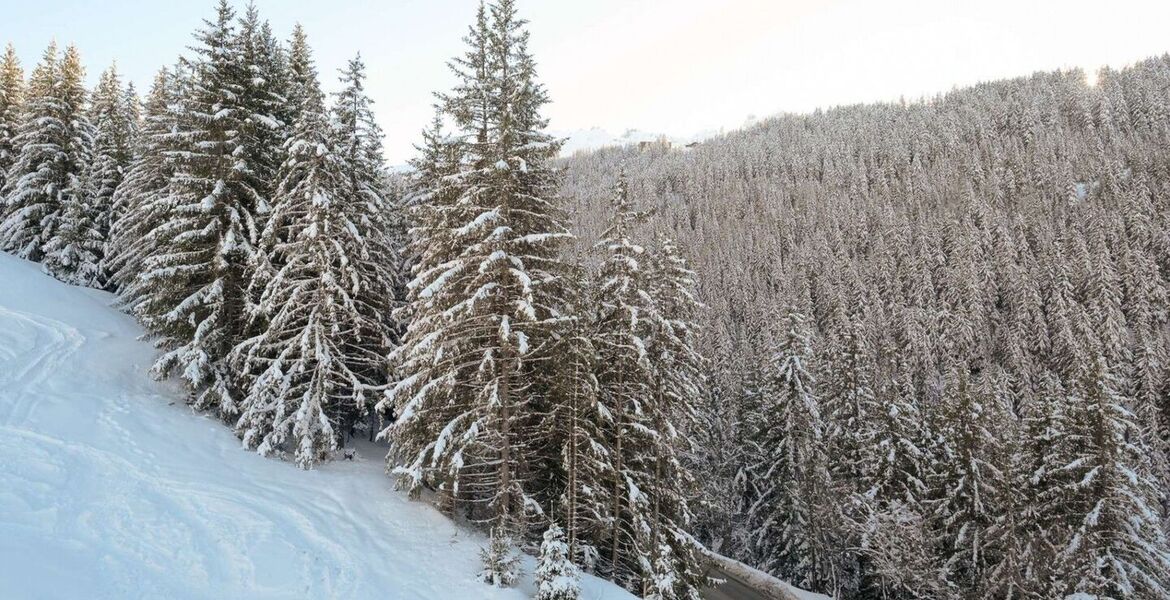 Appartement à louer à Courchevel 1650