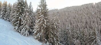 Appartement à louer à Courchevel 1650