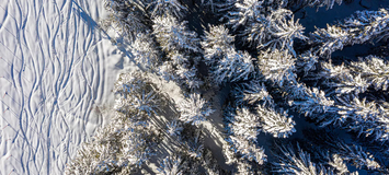 Chalet  Courchevel 1850, Alpes françaises, 12 personnes