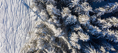 Chalet  Courchevel 1850, Alpes françaises, 12 personnes