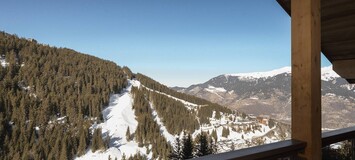 Apartment for rent in Courchevel 1650