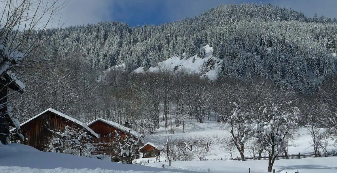 Chalet à louer à Méribel