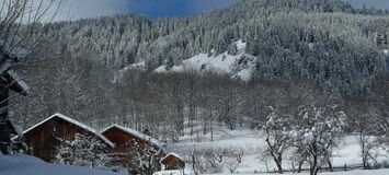 Chalet for rent in Meribel