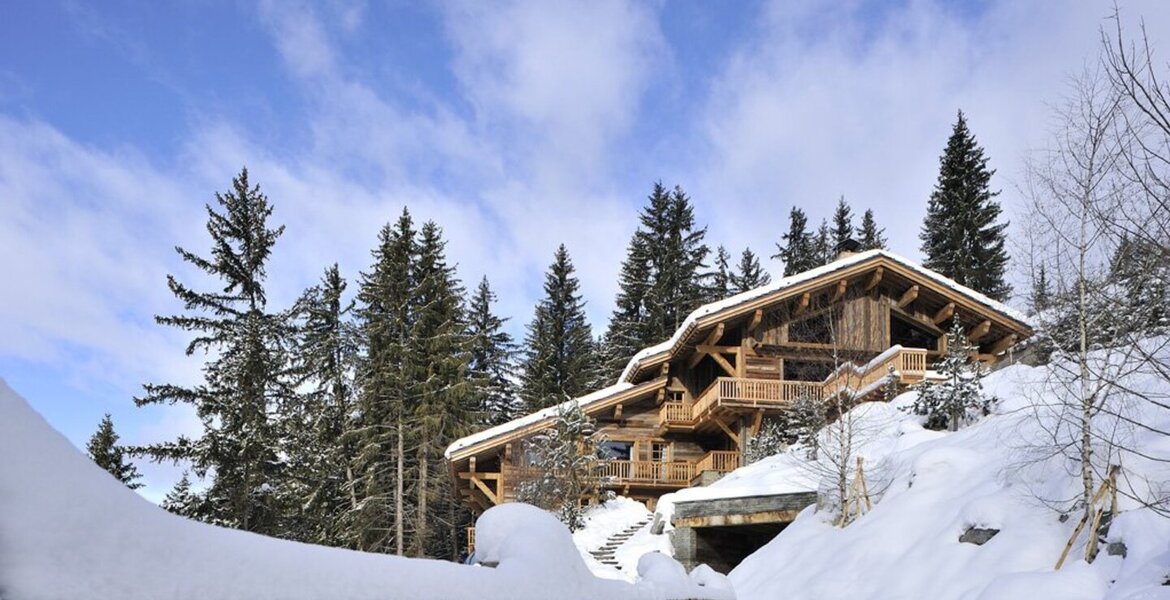 Chalet for rent in Meribel