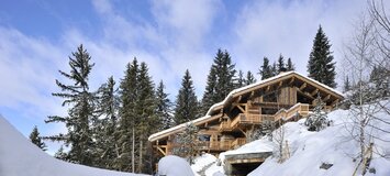 Chalet for rent in Meribel