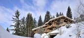 Chalet for rent in Meribel