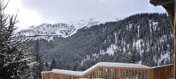 Chalet for rent in Meribel