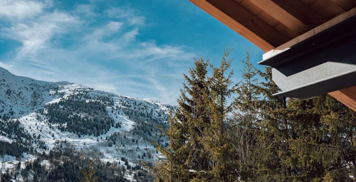 Penthouse for rent in Meribel