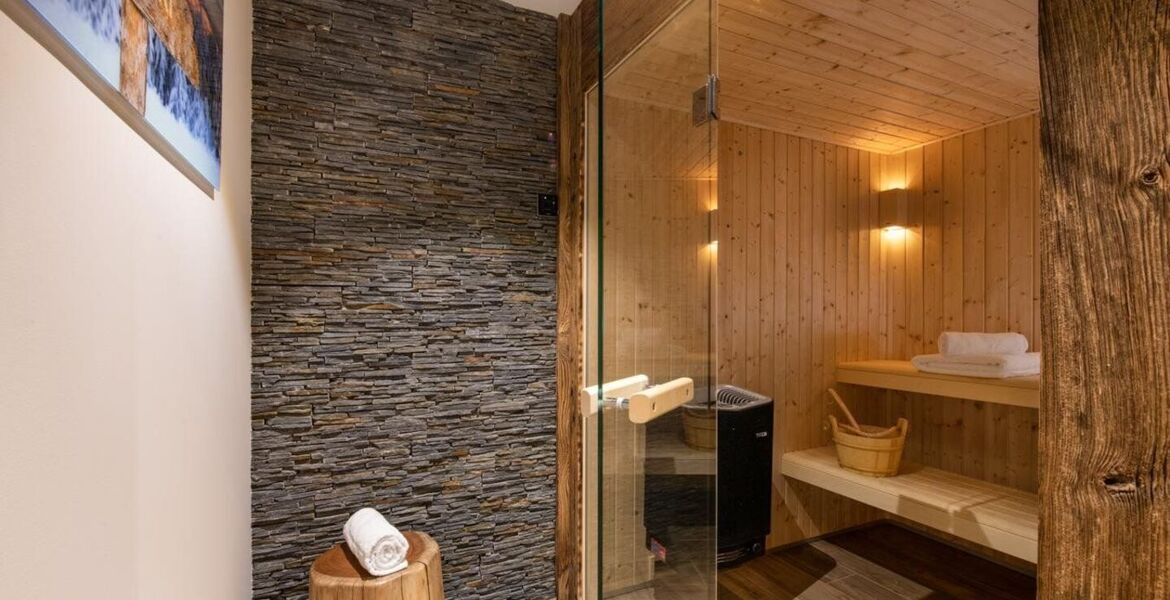 Chalet for rent in Meribel